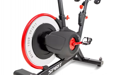 Bodyworx rear drive discount indoor cycle aic850